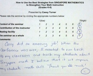 Best Strategies from Singapore Math BER Evaluation